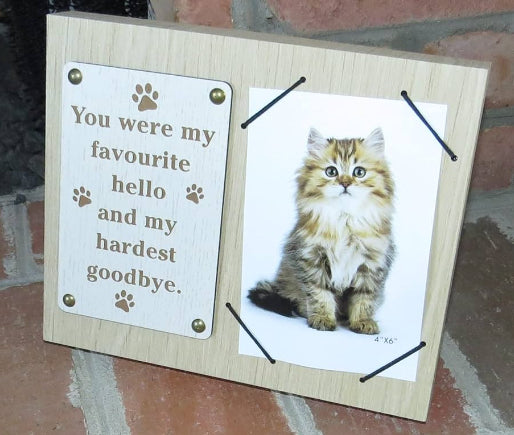 Chupa cat frame